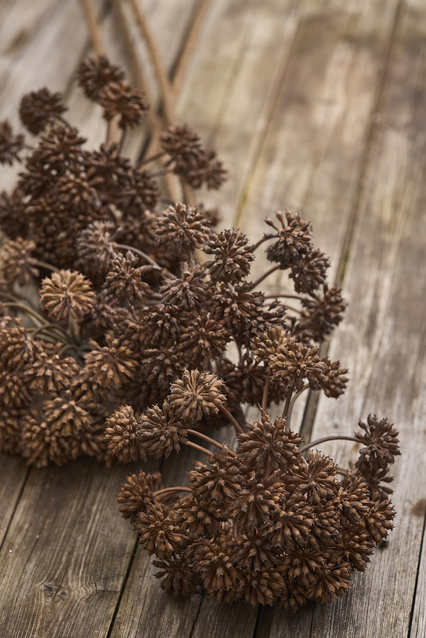 /images/imagebankSeasons/small/Mr Plant AW24/4017-70,4017-73.jpg